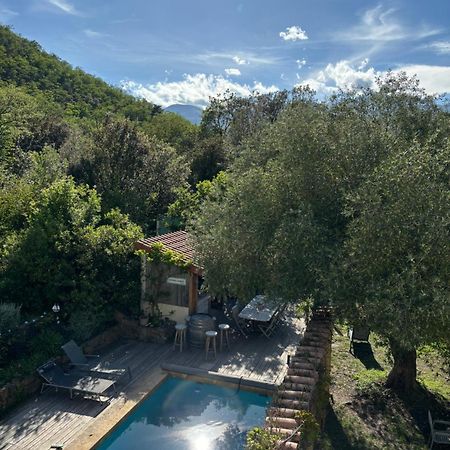 Villa Bonheur Vallespir Ceret Exterior photo