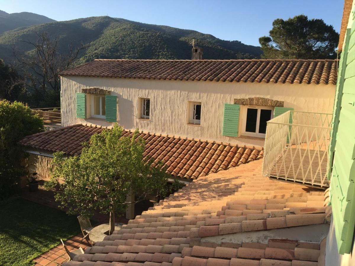 Villa Bonheur Vallespir Ceret Exterior photo