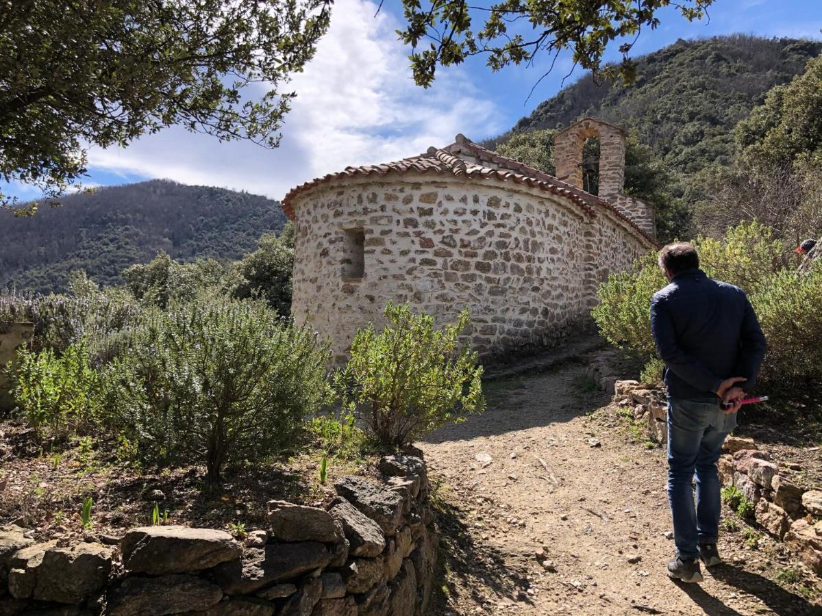 Villa Bonheur Vallespir Ceret Exterior photo