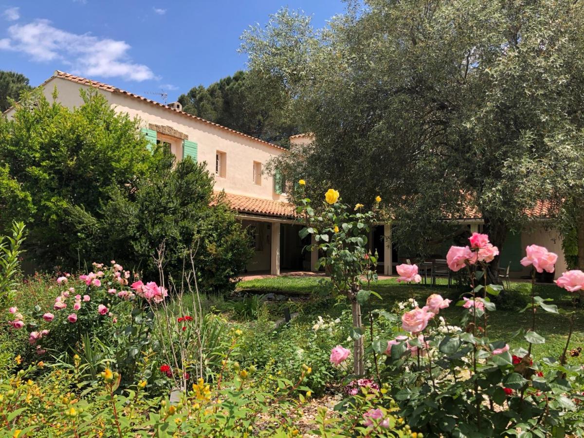 Villa Bonheur Vallespir Ceret Exterior photo