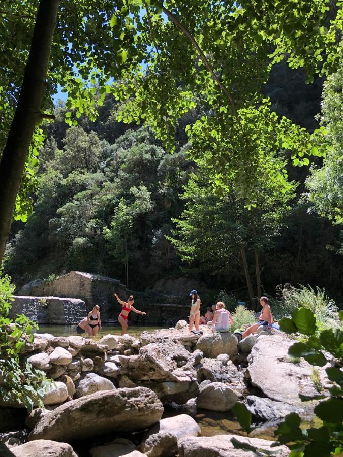 Villa Bonheur Vallespir Ceret Exterior photo