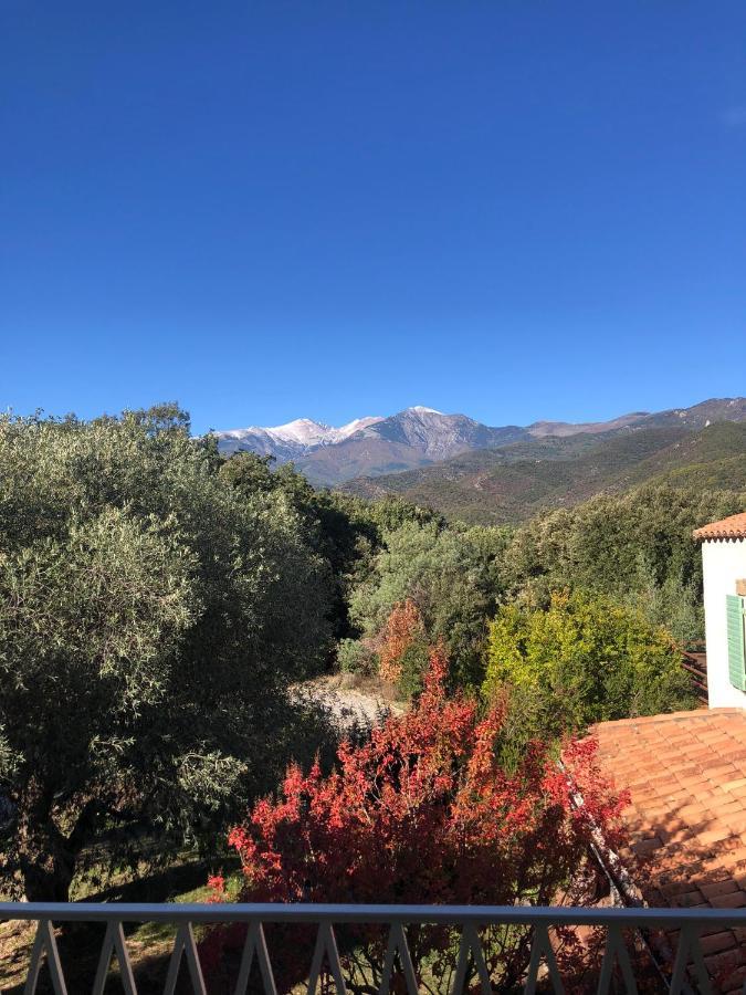 Villa Bonheur Vallespir Ceret Exterior photo