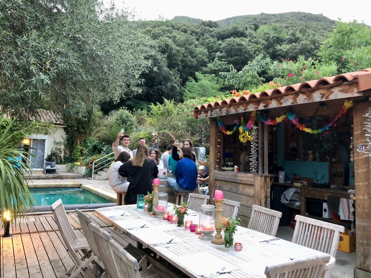 Villa Bonheur Vallespir Ceret Exterior photo