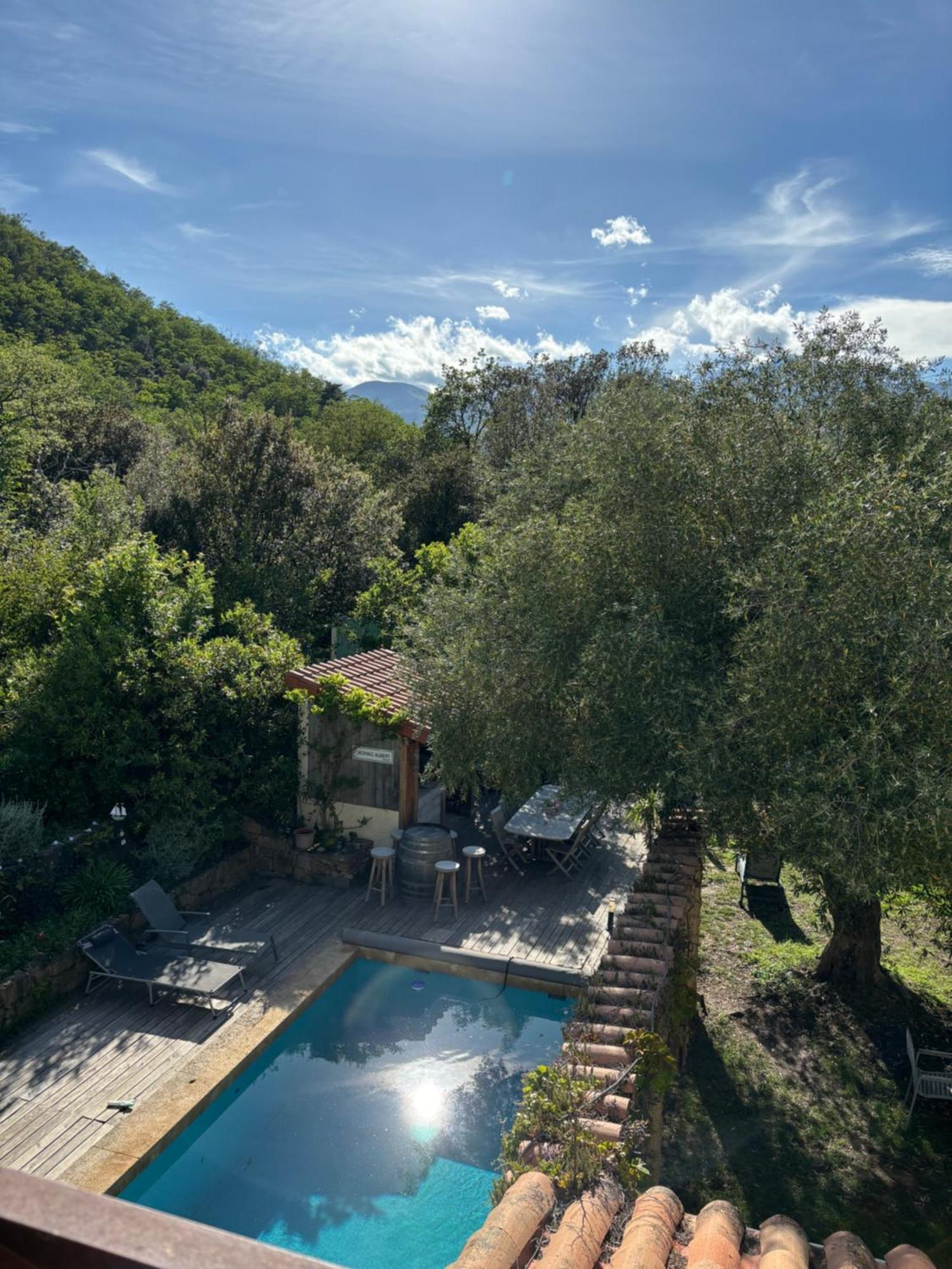 Villa Bonheur Vallespir Ceret Exterior photo